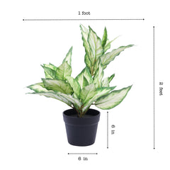 Artificial Pink Dieffenbachia Potted Plant (60 cm)