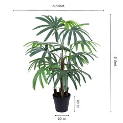 Artificial Rhapis Palm Tree in Black Pot (150 cm)