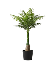 Artificial Areca Palm Tree 190cm (6.2ft)