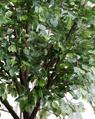 Artificial Banyan Style Tree 240cm (7.9ft)