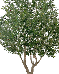 Artificial Designer Olive Fiber Jumbo Tree - 250cm (8.5ft)