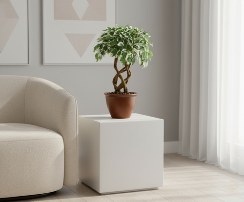 Artificial Ficus Variegated Leaf Bonsai Tree - 1.4 Feet