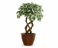 Artificial Ficus Variegated Leaf Bonsai Tree - 1.4 Feet