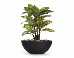 Artificial Yellow Croton Bonsai Tree - 1ft