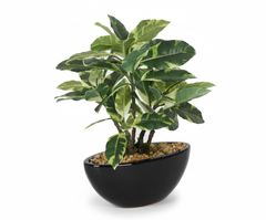 Artificial Variegated Ficus Bonsai Tree - 1ft
