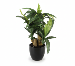 Artificial Green Dracaena Bonsai Tree - 1.2ft