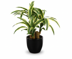 Artificial Red Dracaena Bonsai Tree - 1.3ft