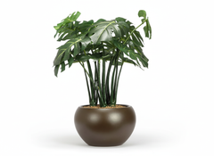 Artificial Monstera Leaf Bonsai Tree - 1.3ft