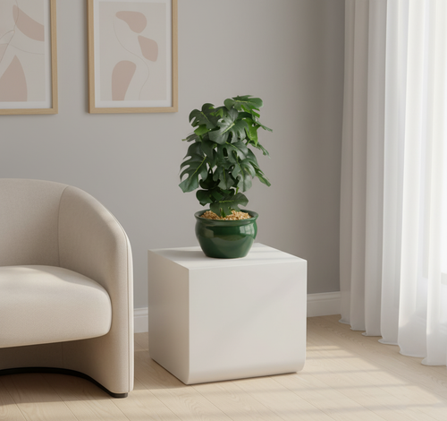 Artificial Monstera Leaf Bonsai Tree - (11in) 1ft