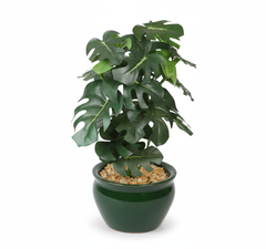 Artificial Monstera Leaf Bonsai Tree - 11in