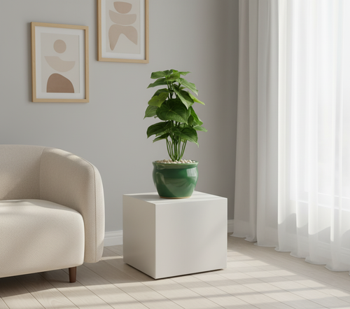 Artificial Alocasia Leaf Bonsai Tree - (11in) 1ft