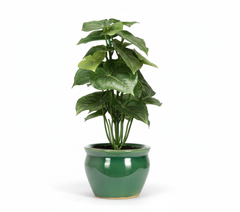 Artificial Alocasia Leaf Bonsai Tree - 11in