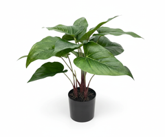 Artificial Evergreen Leaf Bonsai Tree - 1.4ft