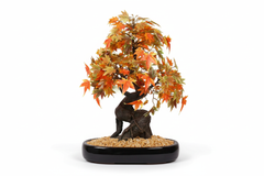 Artificial Autumn Maple Bonsai Tree - 1.4ft