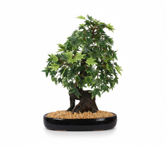 Artificial Green Maple Bonsai Tree - 1.4ft