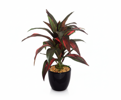 Artificial Red Dracaena Bonsai Tree - 9in