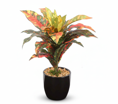 Artificial Croton Bonsai Tree - 9in