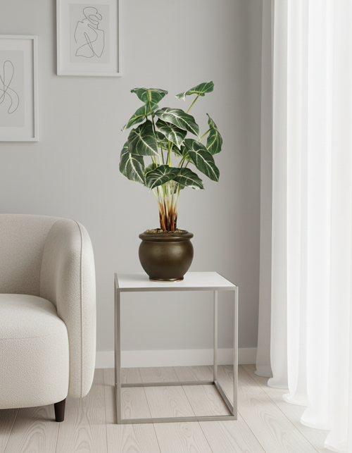 Artificial Alocasia White Bonsai Tree - 2ft