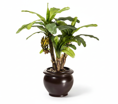 Artificial Banana Bonsai Tree - 1.7ft