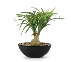 Artificial Nolina Leaf Bonsai Tree - 1ft