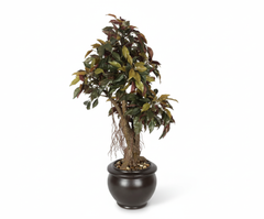 Artificial Red Ficus Bonsai Tree - 2ft
