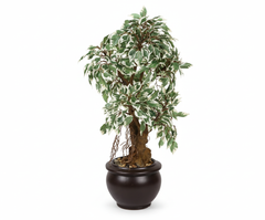 Artificial Variegated Ficus Bonsai Tree - 2ft