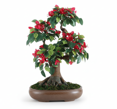 Artificial Bougainvillea Bonsai Tree - 1.6ft