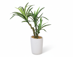 Artificial Yucca Bonsai Tree - 38cm/1.3ft