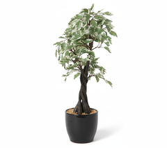 Artificial Variegated Ficus Bonsai Tree - 1.9 Feet