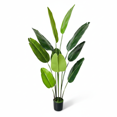 Artificial Soft-Touch Traveller Banana Leaf Plant - 5.3 ft (160 cm)