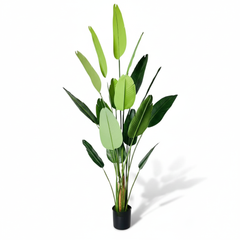 Artificial Verdant Traveller Banana Leaf Plant - 7.3 ft (220 cm)
