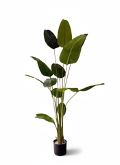 Artificial Greenery Traveller Soft Banana Leaf Plant - 8.5 ft (250 cm)