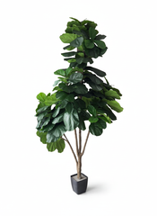 Artificial Rich Jumbo Fiddle Leaf Fig - 8.7 ft (260 cm)