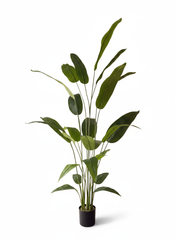 Artificial Stylish Bird of Paradise Plant - 6 ft (180 cm)