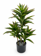 Artificial Detailed Red Green Dracaena Plant - 2 ft (60 cm)