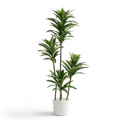 Artificial Showpiece Yellow Green Dracaena Plant - 3 ft (90 cm)