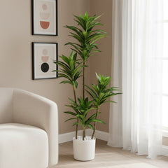 Artificial Showpiece Yellow Green Dracaena Plant - 3 ft (90 cm)