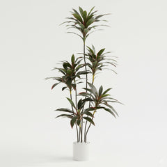 Artificial Captivating Dracaena Multi Plant - 5 ft (150 cm)