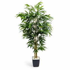 Artificial Glossy Bamboo Tree with Pot - 180cm (6ft)