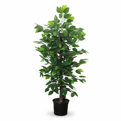 Artificial Contemporary Green Ficus Tree - 3 ft (90 cm)