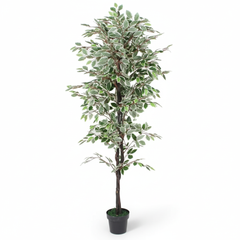 Artificial Classic Variegated Ficus Tree - 4 ft (120 cm)