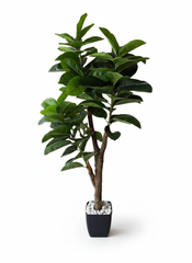 Artificial High-Fidelity Rubber Plant - 5 ft (150 cm)