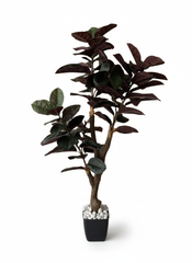 Artificial True-to-Life Red Rubber Plant - 5 ft (150 cm)