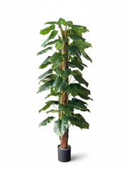 Artificial Fine Pole Money Plant - 5 ft (160 cm)