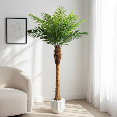 Artificial Curated Phoenix Date Palm Tree - 180cm (6ft)