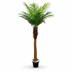 Artificial Curated Phoenix Date Palm Tree - 180cm (6ft)