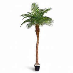 Artificial Ornamental Phoenix Date Palm Tree - 240cm (8ft)