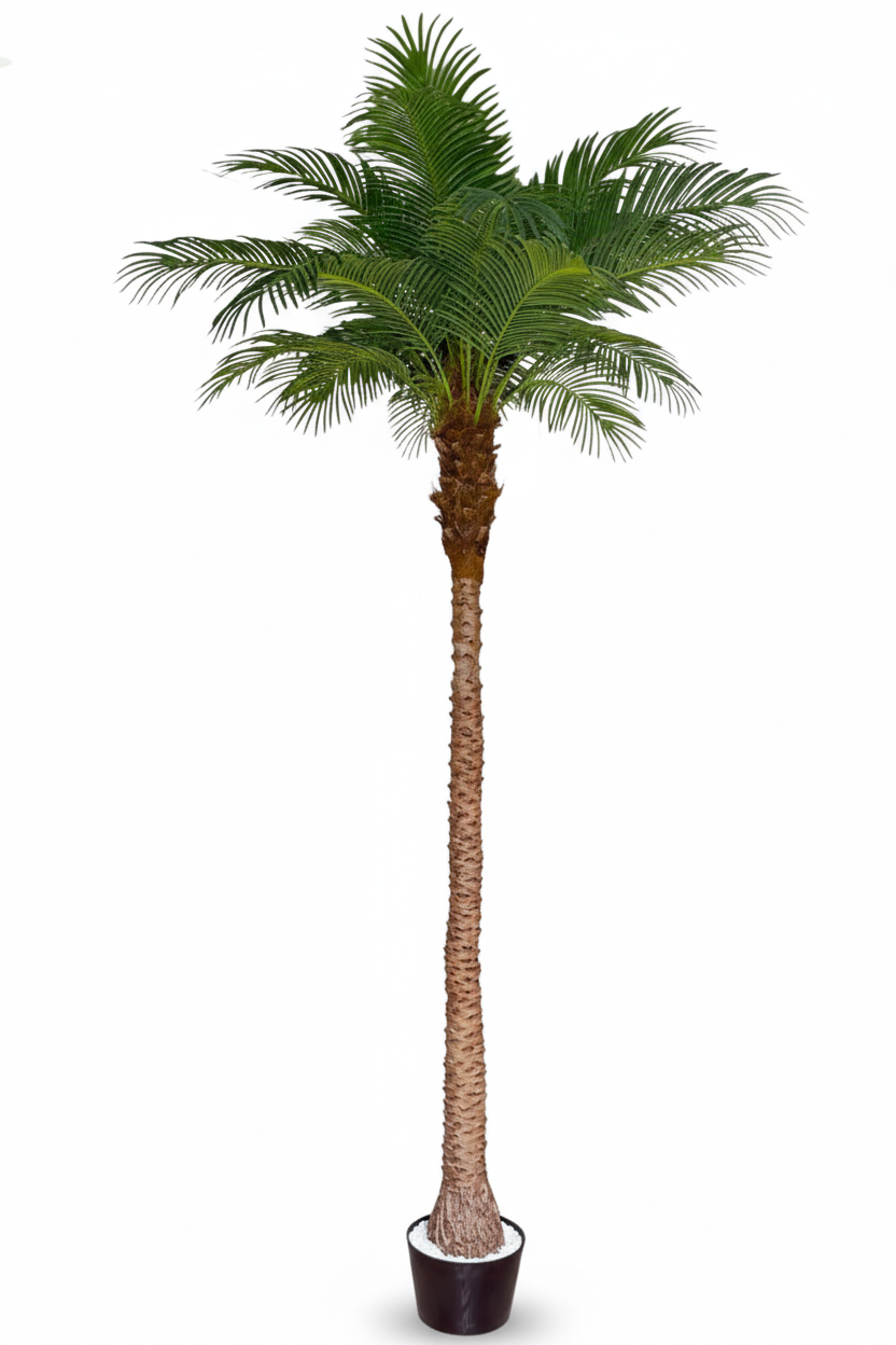 Artificial Phoenix Date Palm Tree ? 360cm (12ft)