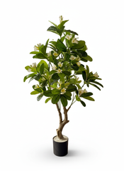 Artificial Grand Frangipani Plant Decor - 150cm (5ft)