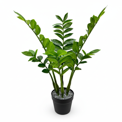 Elegant Artificial ZZ Leaf Plant - 2.2 ft (68 cm)
